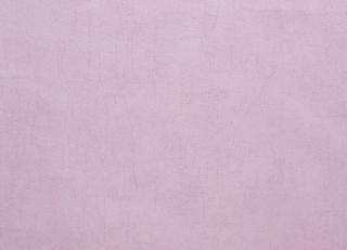 Фото - Обои Caselio Curiosity - 223621>