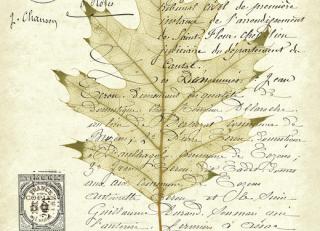 Фото - Обои Photowall Типография - 298800>