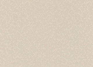 Фото - Обои Desima Rossica Line - 626653>