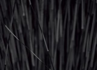 Фото - Обои Mr Perswall Photo - 235220>