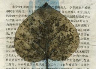 Фото - Аксессуары Momenti Постеры Momenti LAB collection - 347144>