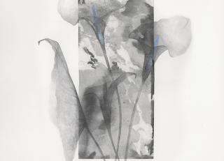 Фото - Обои Wall&Deco CODE 2019 WET SYSTEM - 462753>