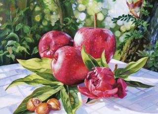 Фото - Обои Ortograf Елена Самарская - 479052>