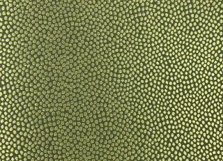 Фото - Обои Epoca Wallcoverings Amazon River - 551573>