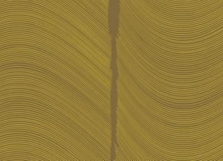 Фото - Обои Loymina Equilibre - 419445>