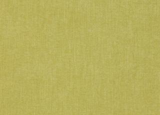 Фото - Ткани Jane Churchill Palma II - 539531>