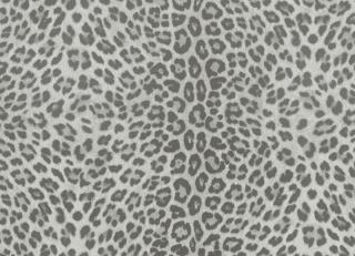 Фото - Обои Zambaiti Philipp Plein - 550608>