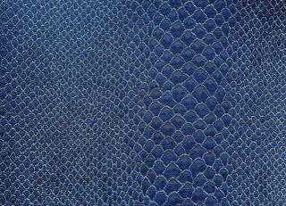 Фото - Обои Epoca Wallcoverings Amazon River - 551541>