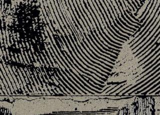 Фото - Обои Elitis Mouvements - 557027>