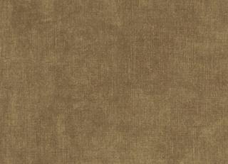 Фото - Ткани Clarke&Clarke Martello - 437308>