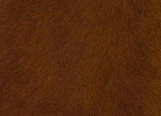 Фото - Аксессуары Pavoni Кожа Vitellina Pelo - 589024>