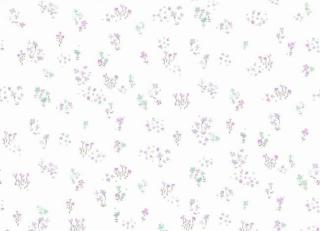 Фото - Обои York Wallcoverings A Perfect World - 443126>