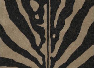 Фото - Ткани Andrew Martin Spectator - 462391>