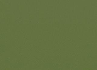 Фото - Ткани Faboie Plain VIII - 584171>