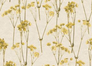 Фото - Обои Decoprint Herbarium - 618795>