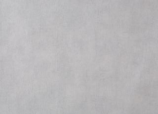 Фото - Обои Caselio Curiosity - 223625>