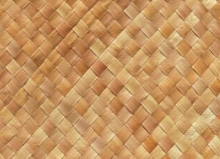 Фото - Ткани CMO Paris Palm Tree - 551132>