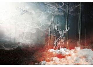 Фото - Обои Ortograf Mirage - 477165>