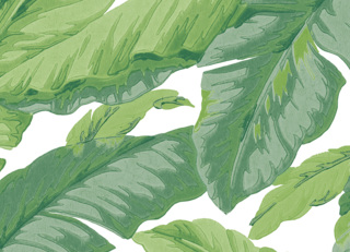 Фото - Обои Jannelli & Volpi JV505 Grande Corniche - 625631>