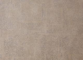 Фото - Обои Caselio Curiosity - 223600>