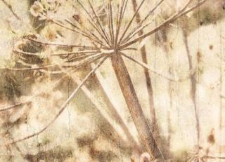 Фото - Обои Eijffinger Lino - 422607>