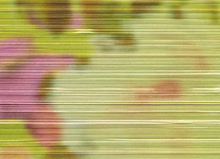 Фото - Обои Elitis Opulence - 262115>