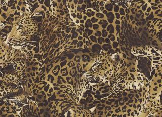 Фото - Обои Emiliana Parati Dolce&Gabbana - 609948>