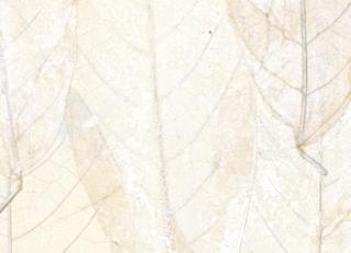 Фото - Обои Elitis Ecrin - 469832>