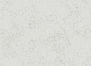 Фото - Обои Mayflower by Kt Exclusive Transition - 436557>