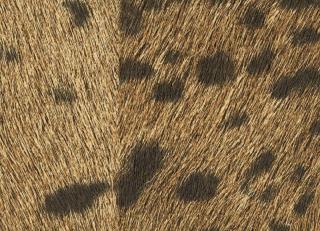 Фото - Обои Elitis Sauvages - 605250>