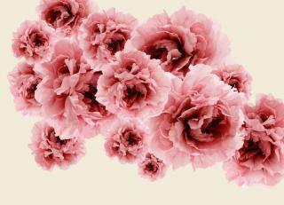 Фото - Обои Wall&Deco Life - 199985>