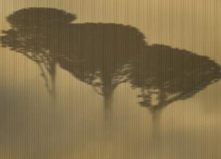 Фото - Обои Wall&Deco CODE 2020 CONTEMPORARY - 495205>