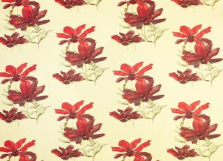 Фото - Ткани Swaffer - 381279>