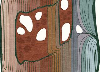 Фото - Ковры Tapis Rouge Elettrico - 590029>