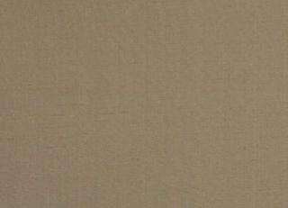 Фото - Обои Pierre Frey Graminees 2 - 311491>