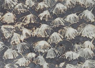 Фото - Ткани Zoffany Boleyn Fabrics - 327198>