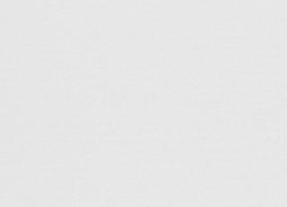 Фото - Рулонные шторы Screen All - 585688>