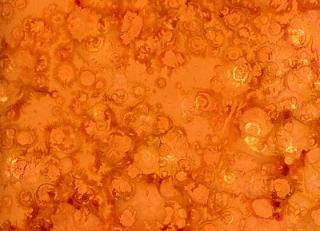 Фото - Обои Arlin Sweet Stones - 342003>