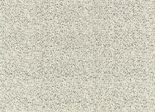 Фото - Ткани Kirkby design Graphic Nature - 606822>