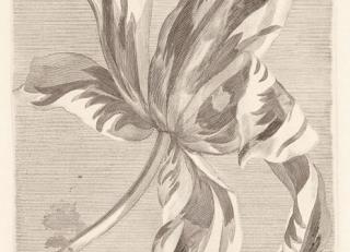 Фото - Обои Eijffinger Masterpiece - 351742>