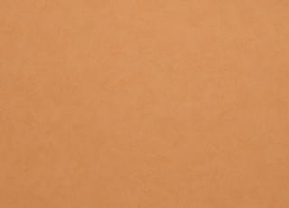 Фото - Обои Caselio Romarin - 231433>