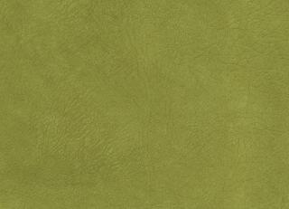 Фото - Ткани Osborne & Little Caresse - 369428>