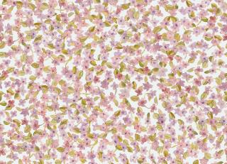 Фото - Обои Coordonne Feria - 559095>