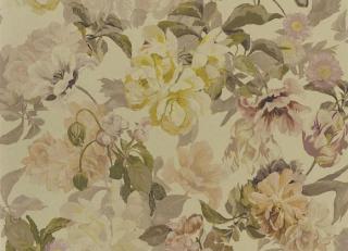 Фото - Обои Designers Guild Tulipa Stellata - 364036>