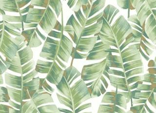 Фото - Обои Casadeco Botanica - 535628>