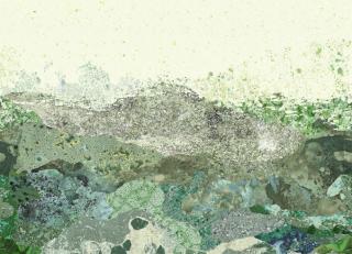 Фото - Обои Nobilis Grand Angle - 467284>