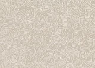 Фото - Ткани Zinc Teatro Weaves - 330638>