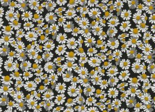 Фото - Ткани Rubelli Camilla - 533881>