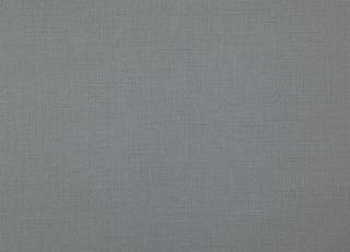 Фото - Ткани Daylight Canvas - 532553>