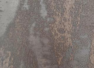 Фото - Обои Italreflexes Timeless - 517113>